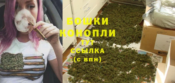 дживик Пестово