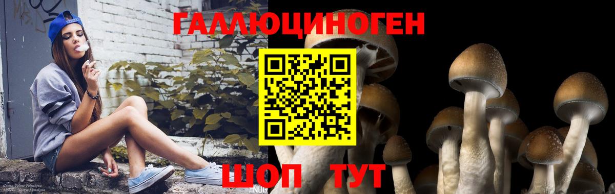 Галлюциногенные грибы Psilocybe  Галлюциногенные грибы мухоморы  Сокол  Вход с VPN 