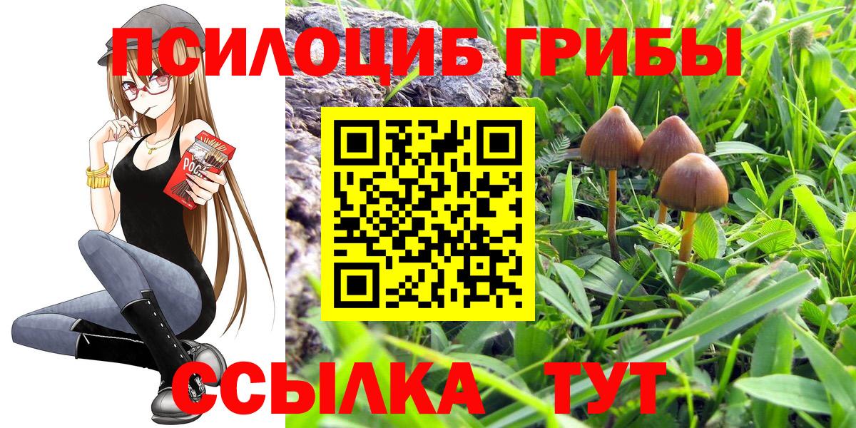 Галлюциногенные грибы мухоморы Сокол